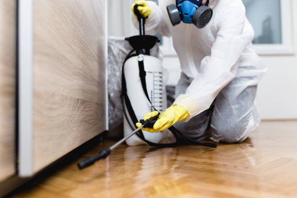 Best Best Pest Control Companies  in Coram, NY