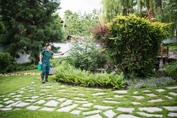Best Affordable Pest Control Services  in Coram, NY