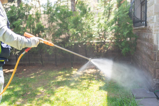 Flea Control Services in Coram, NY