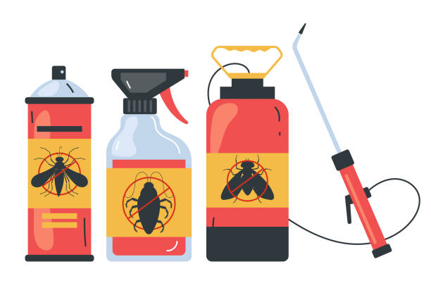 Best Local Pest Control Services  in Coram, NY