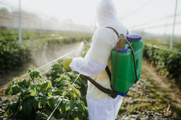 Trusted Coram, NY Pest Control Experts